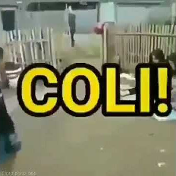 coli boy