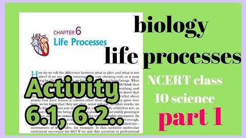 Activities-6.1, 6.2 | Chapter-6 | Life process | 10th | NCERT | #1 | 2020