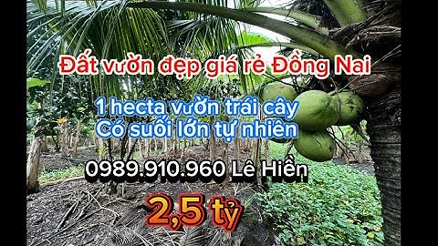 Khu vườn 1 hecta Đồng Nai trái cây quanh năm, có suối đá tự nhiên 2,5 tỷ 0989.910.960 Lê Hiền