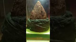 Things prophet Muhammad wo mera nabi hai naatsheriff #dpz #img #whtasappstatus Things prophet Muhammad wo mera nabi hai naatsheriff #dpz #img #whtasappstatus