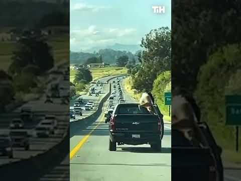 Woman Moves From Passenger Seat and Sits in the Back in Moving Truck