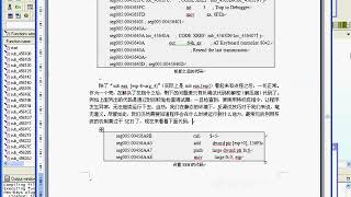 Famous lesson-06 : remove all junk code and patch the program with ida Profile
