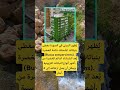 ي ظهر المبنى في الصورة مغطى بنباتات الشمشاد دائمة الخضرة اكسبلور الله لايك ترند 100 اقنباسات مع ي ظهر المبنى في الصورة مغطى بنباتات الشمشاد دائمة الخضرة اكسبلور الله لايك ترند 100 اقنباسات مع
