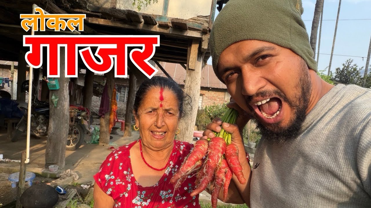 आमासँग बारीमा रमाइलो: ताजा गाजर खनेर खायौँ! 🥕👵