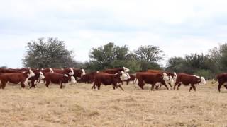 Cabaña Los Socavones (Quilino - Córdoba)