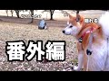 散歩デートしたら、、、