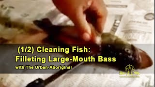 (1/2) Cleaning Fish: Filleting Large-Mouth Bass w/ The Urban Aboriginal