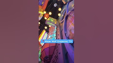 🎥 Discover the Magic of Meow Wolf in Grapevine, Texas! 🌌 Change Your Perspective and Look Up! 🐱🍇
