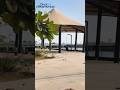 Dholera Smart City India's BEST KEPT SECRET Exposed in 4K Ultra HD