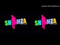 Shimza - My Selector (DJ Ace Remix)
