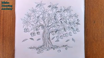 how to draw mango tree step by step/mango tree drawing