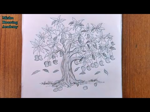 Tree Drawing | Drawings | Tree drawing, Tree drawings pencil, Tree drawing  simple
