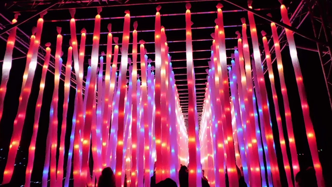 The vines walk through light display by Mandylights to Merry Christmas