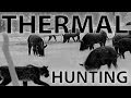 Best Thermal Night Hunting Videos with the Trijicon REAP-IR | 48 Hogs Down