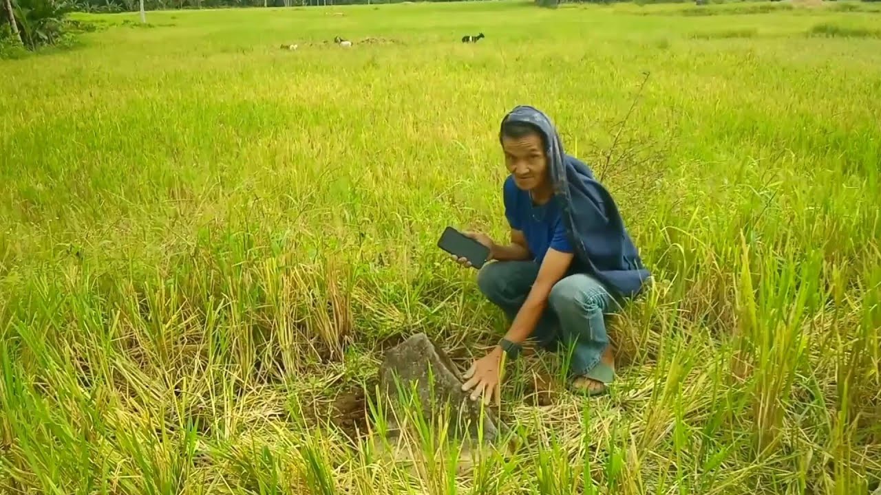 Yamashita Treasure hunting in Dinaayan Burauen Rice Field