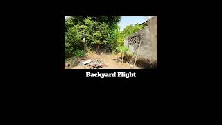 Backyard Flying Practice in Manual Mode  #fpv #drone #djineodrone