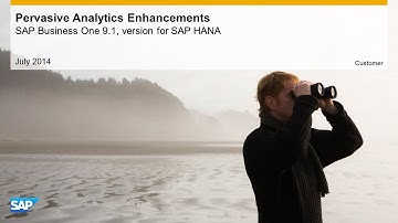 Pervasive Analytics Enhancements in SAP Business One 9.1, version for SAP HANA - Feature Clip