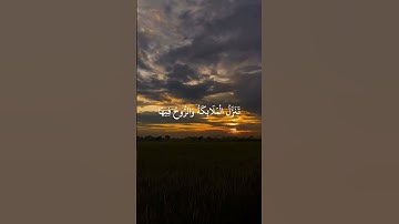 #سورة_القدر (الشيخ #ماهر_المعيقلي) #explore #اكسبلور (اللهم بلغنا ليلة القدر)
