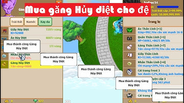 Bình Luận Ngọc rồng: Mua găng hủy diệt cho đệ tử