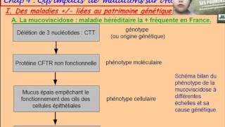 Moreels 1s 31 Mucoviscidose Youtube