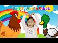 KUMPULAN LAGU AYAM LUCU &amp; BEBEK | LAGU ANAK- ANAK POPULER