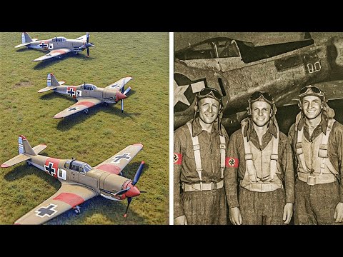 WW2 Fighter Pilots Vanished Without a Trace. 80 Years Later, Their Planes  Were Found - YouTube