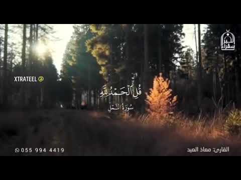 تلاوة تريح القلب الحمد لله على كل ما انعم به علينا