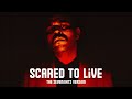 The Weeknd Scared To Live The Sevenights Version The Weeknd Scared To Live The Sevenights Version