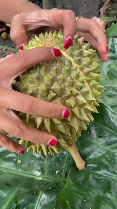 Unboking Durian Bawor #durianbawor