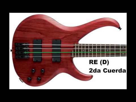 🎬 Video relacionado con afinadores de bajo