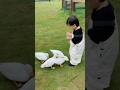 Wen's New Dance Video | Tian Zhi Wen | Tian Zhi Wen Family | Tian Zhi Wen Yi