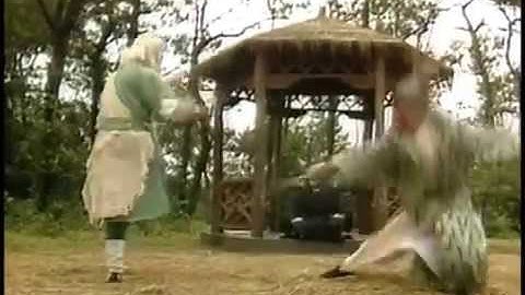 Eastern Evil Huang Yaoshi vs Northern Beggar Hong Qigong