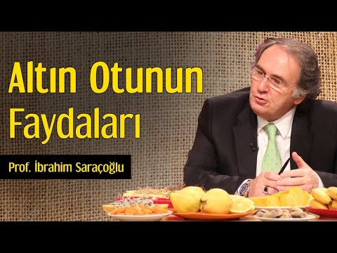 Altın Otunun Faydaları | Prof. İbrahim Saraçoğlu