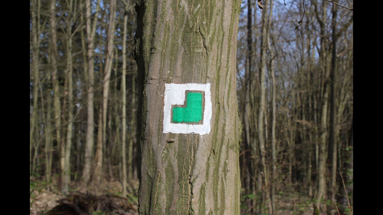 34.  Řebřík, žvanec a tin whistle