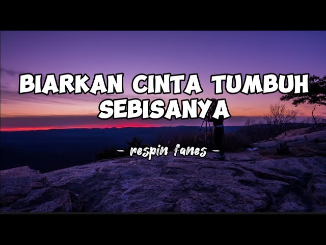 DJ BIARKAN CINTA TUMBUH SEBISANYA - RESPIN FANES(Lirik lagu) terbaru class=