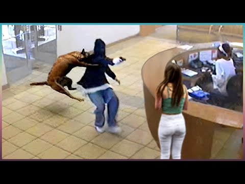 Животные СПАСАЮТ Людей! Топ 10 Животных Героев Спасших Жизни!