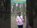 Pine Forest in Kodaikanal #shorts #kodaikanal