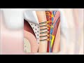 Sensodyne condition and product  sensitivity process 1