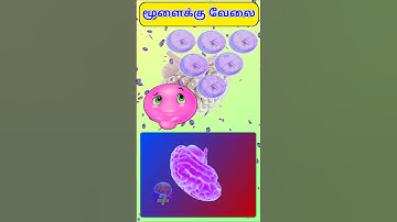 Brain Game 67 #braingames #braingame #braintest #brain #games #tamil #shorts