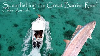 Spearfishing The Great Barrier Reef | Cairns Australia