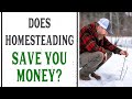 DOES HOMESTEADING SAVE YOU MONEY? - PANTRY CHAT #41