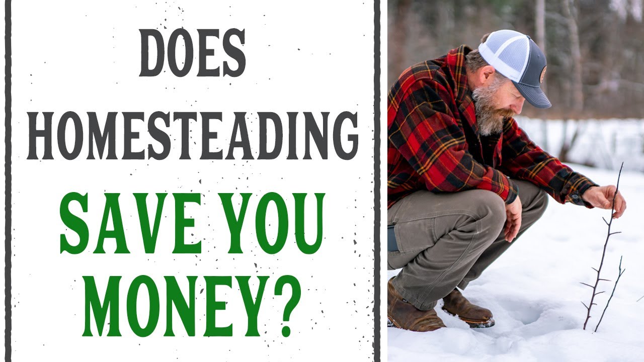 DOES HOMESTEADING SAVE YOU MONEY? - PANTRY CHAT #41 