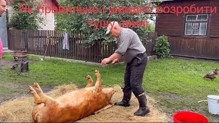 Як правильно  розробити тушу свині 🐖