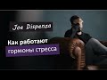 Как работают гормоны стресса | Джо Диспенза | Сверхъестественный разум