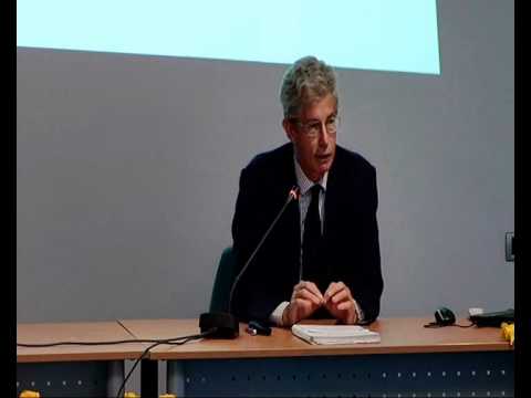 Relazione Prof. Amedeo Reyneri