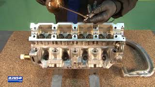 Renault Laguna 2.0 F3R728 Valve Stem Seal Assembly - Montaje Retén Válvula