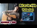 Tutorial - Así es la vida - KID FLEX  (Solo + Puente con Tabs)