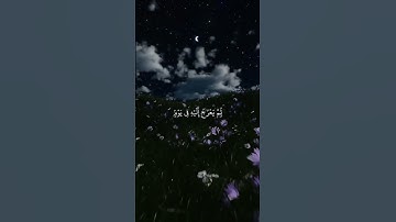 سورة السجدة  ياسر الدوسر #اكتب_شي_تؤجر_عليه
