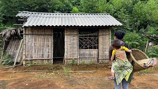 Details From Survival to Home – A Single Mother Restores a Forgotten Abandoned Bamboo House | Triệu Mai Update