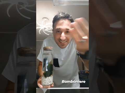 BOMBONIERE IMPROPONIBILI parte